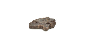 Druzy Petrified Wood