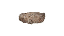 Load image into Gallery viewer, Druzy Petrified Wood
