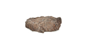 Druzy Petrified Wood