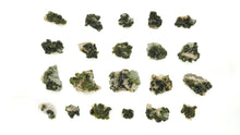 Load image into Gallery viewer, Epidote w/Quartz: Small Cluster
