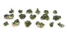 Load image into Gallery viewer, Epidote: Small Cluster
