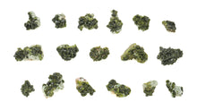 Load image into Gallery viewer, Epidote: Small Cluster
