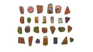 Ammolite Cabochons