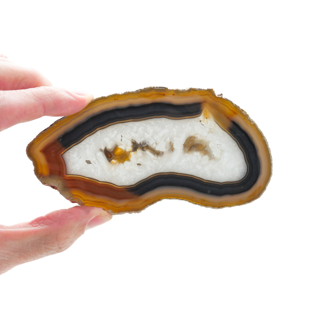 Agate slices: Large