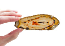 Load image into Gallery viewer, Agate slices: Large
