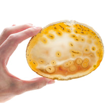 Load image into Gallery viewer, Agate slices: Large
