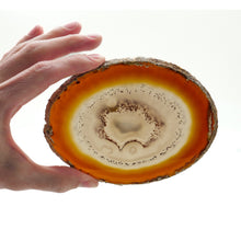 Load image into Gallery viewer, Agate slices: Large
