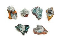 Load image into Gallery viewer, Rosalite w/Selenite and Calcite
