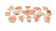 Load image into Gallery viewer, Stilbite with Hematite
