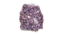 Load image into Gallery viewer, Amethyst Cluster XL
