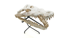 Load image into Gallery viewer, Mosasaur Fossil Skull
