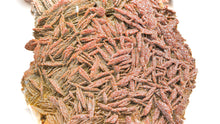 Load image into Gallery viewer, Baryte w/Druzy Vanadinite
