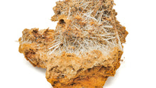 Load image into Gallery viewer, Selenite Cluster
