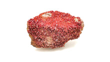 Load image into Gallery viewer, Vanadinite LG
