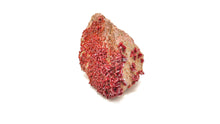 Load image into Gallery viewer, Vanadinite LG
