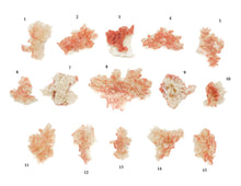 Load image into Gallery viewer, Stilbite with Hematite
