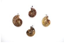 Load image into Gallery viewer, Ammonite Necklace
