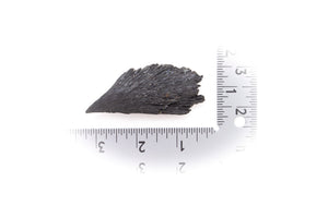 Kyanite- Black