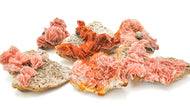 Orange Baryte