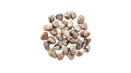 Pink Tourmaline: Loose/Tumbled