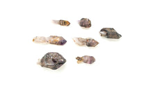 Load image into Gallery viewer, Super 7 Scepter: Enhydro
