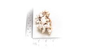 Cave Calcite (botryoidal aragonite)