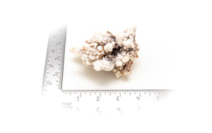 Cave Calcite (botryoidal aragonite)