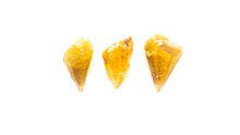 Load image into Gallery viewer, Honey Calcite (dogtooth)
