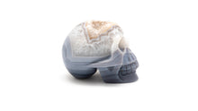 Load image into Gallery viewer, Large Blue Lace Agate Geode Skull
